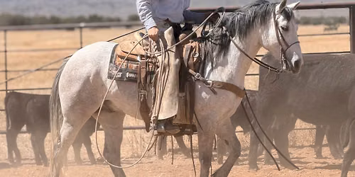 11th Annual Legacy Ranch Horse Sale