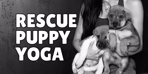 Puppy Yoga Release