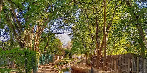 November Walk - del Norte Open Space