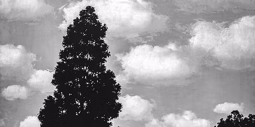 Lukas Debeljak prebere Drevo, ki ga pi\u0161emo nih\u010de