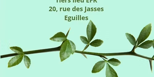 Troc de Plantes \ud83c\udf31\ud83c\udf39\ud83c\udf3f\ud83e\udd29