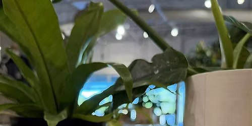 Luxury Candle Making Workshop