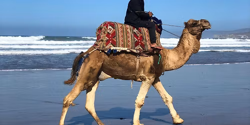 Opowie\u015b\u0107 o maroka\u0144skim \u017cyciu nad oceanem, surfingu i lokalnej kulturze Amazigh