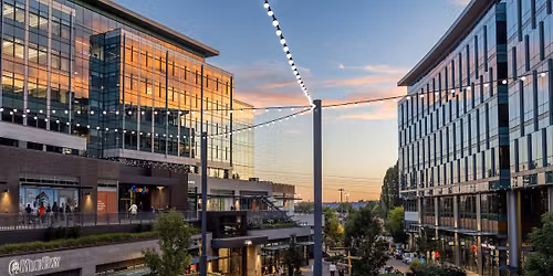 August: Sunset Markets + Concert Nights Series