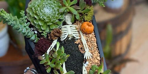 "When I die, water my plants" Coffin Dish Garden