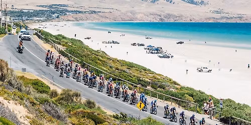 THINK! Road Safety Men's Stage 4: Brighton to Willunga Hill