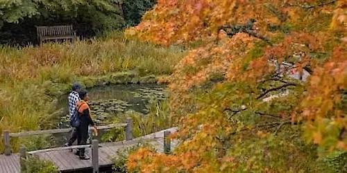 Autumn walk at Kew Gardens