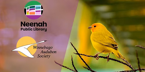 Birding Walk with Winnebago Audubon Society