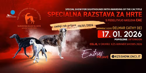 Specialna razstava za hrte - Sighthound specialty Slovenia