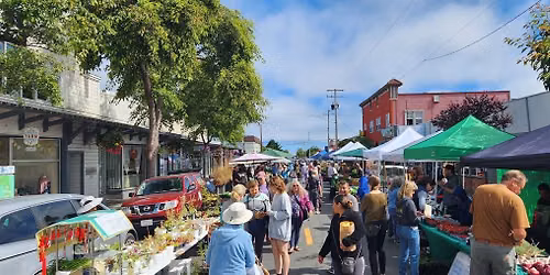Marty Flashman at Henderson Center Farmers Market