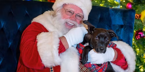 Pet Photos with Santa