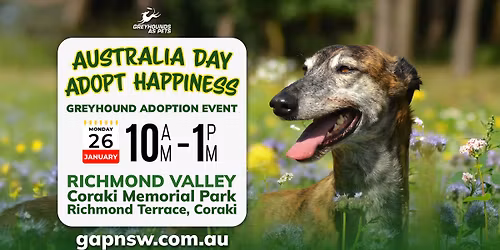 Greyhound Adoption Event | Richmond Valley