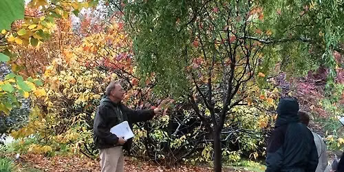 Fall Foliage Tour