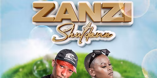 Zanzi shutdown