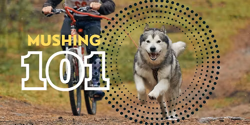 Mushing 101
