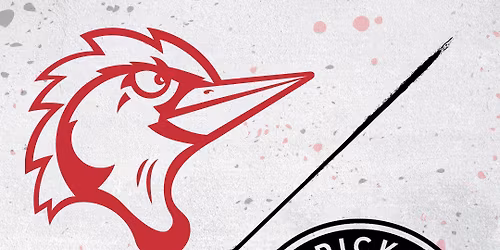 Fredericksburg Nationals at Fayetteville Woodpeckers at Segra Stadium