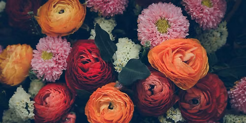 Chrysanthemum and Ritual