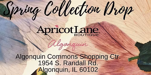 SPRING COLLECTION DROP