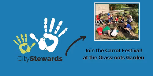 Grassroots Garden Carrot Harvest Day