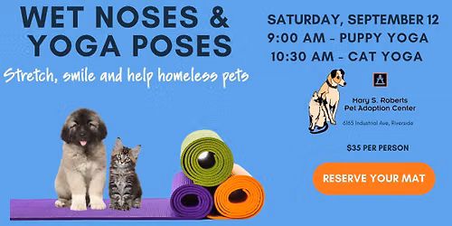 Wet Noses & Yoga Poses: Puppy & Cat Yoga
