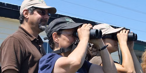 Scarborough Marsh Bird Monitoring