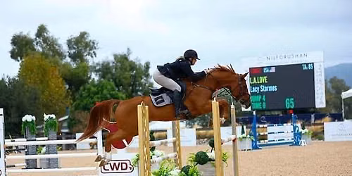 Lacy Stormes clinic