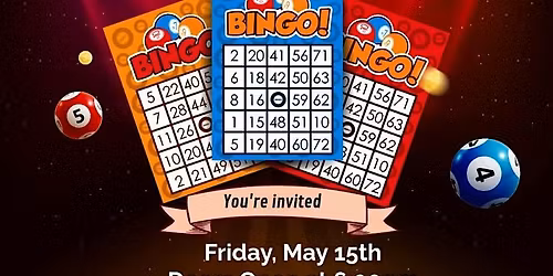 Charity bingo fundraiser