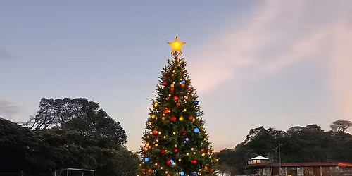 Cebadilla Brilla 2025