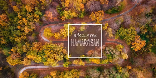 H\u0171s\u00e9gk\u00f6r