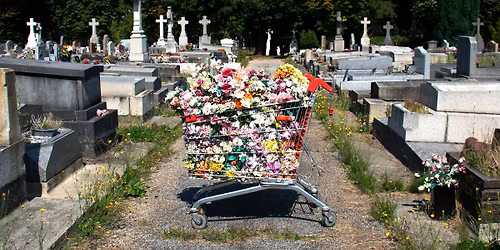 "Apr\u00e8s la floraison" - Finissage de l'exposition de Julie Aubourg