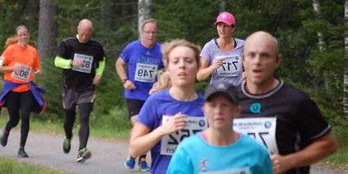 Umemilen 40 år 2026