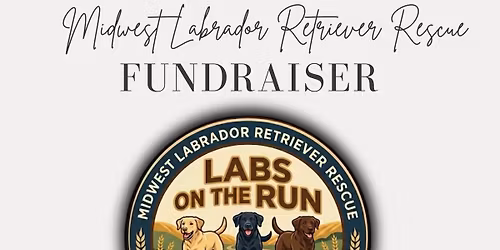 Labs On the Run!