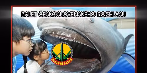 Balet \u010ceskoslovensk\u00e9ho rozhlasu, support: Jane Zewla v Hudebn\u00edm Bazaru