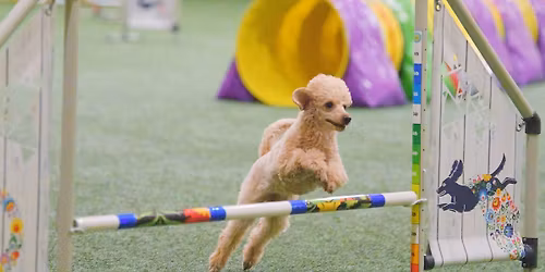 Szykuje si\u0119 do kwali vol 1 - tory treningowe