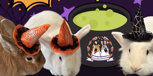 Halloween Rabbit Adoption Event and Pet Photo Event