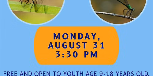 4-H Entomology Club - Dragonflies & Damselflies