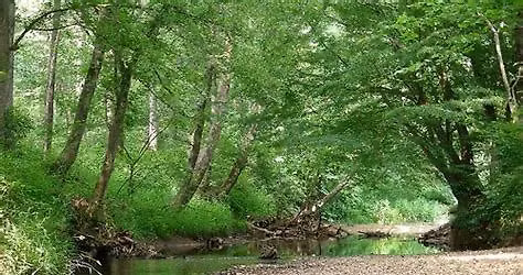 WATER PLAY DAY LEONE HALL PRICE PARK