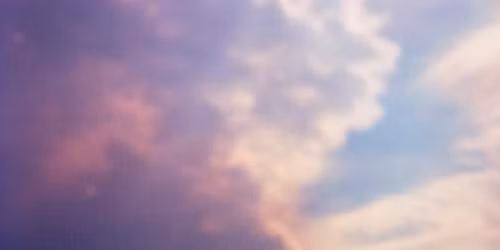 Eefje de Visser in Amsterdam