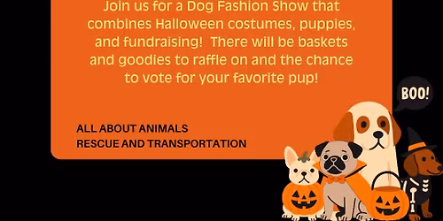 Doggy Fashion Show Fundraiser