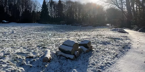 Botaniczna Pi\u0105tka Przelewice - edycja zimowa