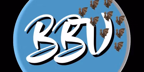 Big Brother's Vinyl at The Toadstool Pub