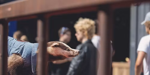 Work with me in HELL 2026