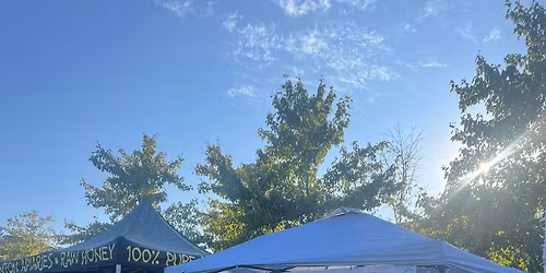 Butterfly Nation Holiday Market with The Local Dill 