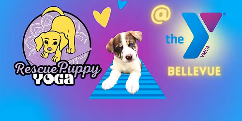 Rescue Puppy Yoga - Bellevue Family YMCA