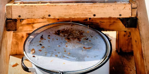 Fresh Press Fest: Noah James Hittner and Smoke 'N Chrome BBQ