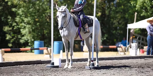 WE Training Camp and Schooling Show July 24-26 2026