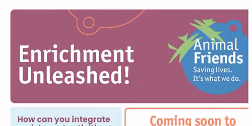 Enrichment Unleashed in YOUR Community!