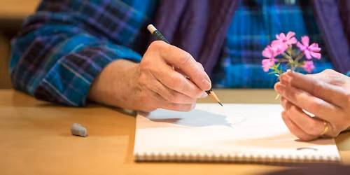 Refined Botanical Drawing