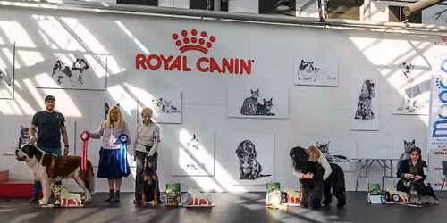 FCI 2 group show, CAC 