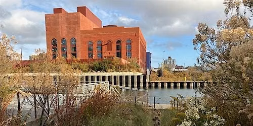 Rain Garden Stewardship (Sponge Park, Bond Gardens)
